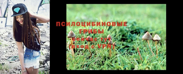 прущая мука Магадан