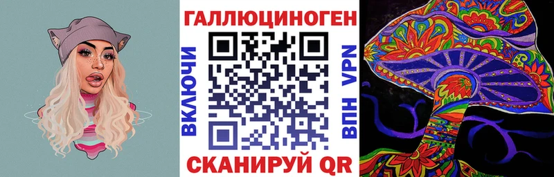 omg как зайти  как найти наркотики  Темрюк  Галлюциногенные грибы Psilocybe 