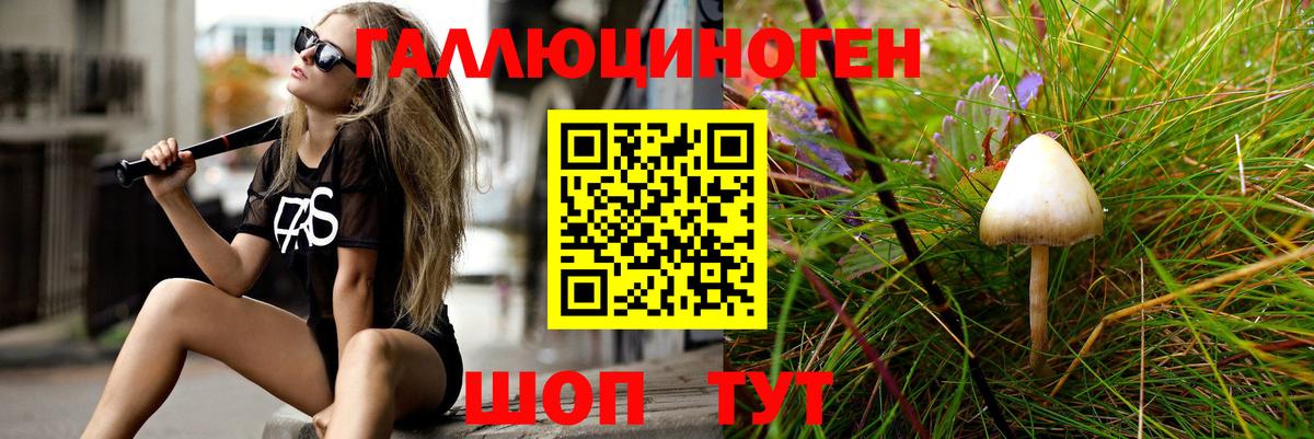 Темрюк  Галлюциногенные грибы Psilocybe  Вход с VPN 