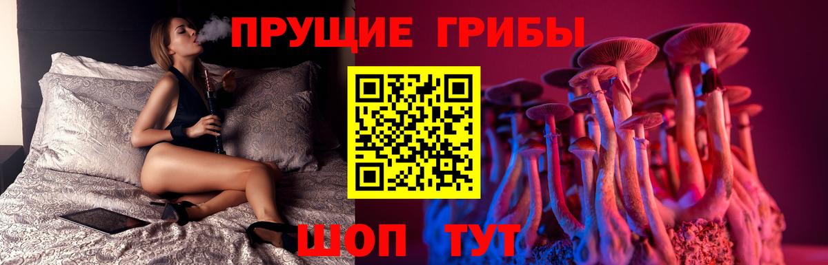 Псилоцибиновые грибы Cubensis Темрюк