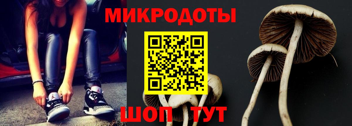 Псилоцибиновые грибы мухоморы Темрюк